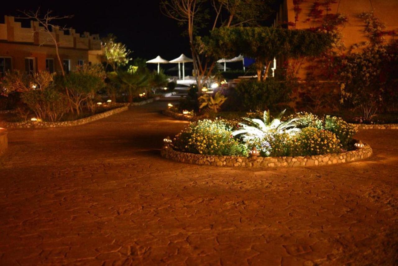 Silver Beach Resort Redsea (Adults Only) El Qoseir Exterior photo