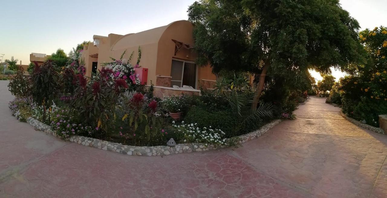 Silver Beach Resort Redsea (Adults Only) El Qoseir Exterior photo